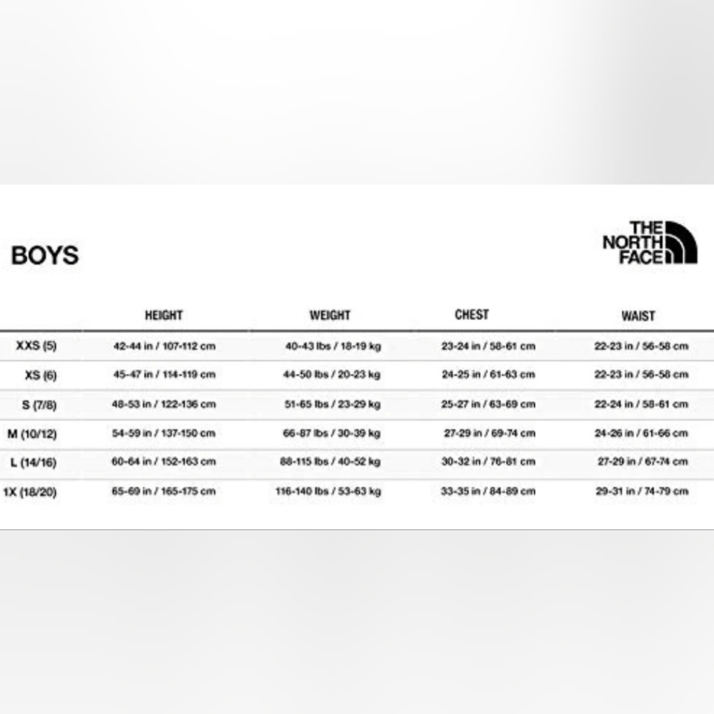 North Face boys Kickin' It Hoodie (L 14/16) - Picture 7 of 7